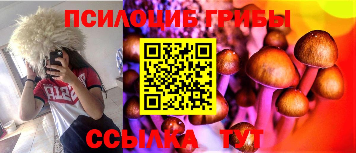 Галлюциногенные грибы Magic Shrooms Гатчина